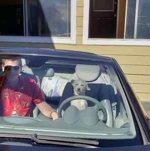 Meet your Posher, James